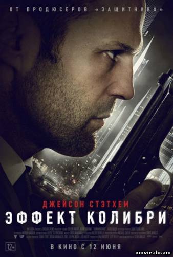 Эффект колибри (2013)